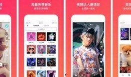 金华爆料今日头条视频,今日头条视频揭秘惊人内幕